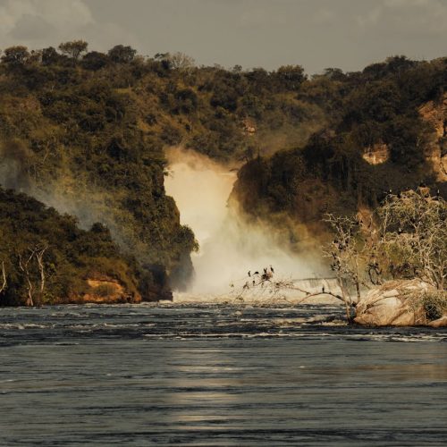 pexels-caleb-falkenhagen-216813613-29897219