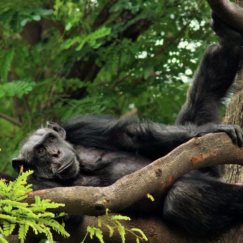 pexels-sudheerinfo99-8224934