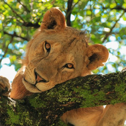 pexels-udgam-jain-2148798149-30628062